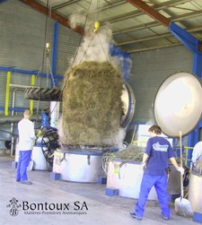 Traditional distillation: harvest coming out of a vat - (Photo : Bontoux SA)