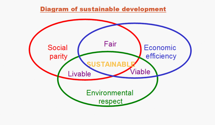 : Social parity, economic efficiency and environmental