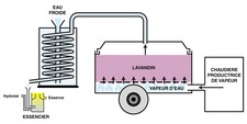 Principes de distillation avec caisson - (Source : Routes de la Lavande)